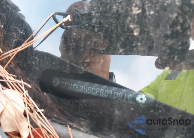 5FNYF3H50FB010816: 43295681