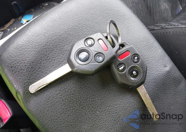 4S4BRCBC2C3265492: 43295705