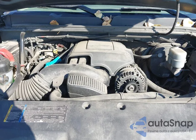 2GCEK133271697746: 43295725