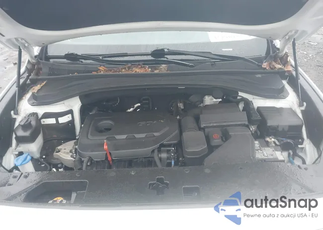 5NMS2CAD6KH102802: 43296951