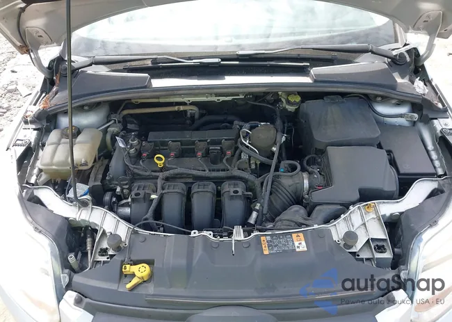 1FADP3F28EL393989: 43297291