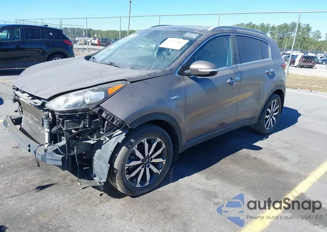 KNDPNCAC0H7281343: 43297305