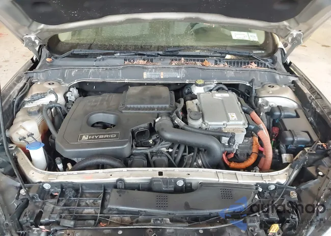 3FA6P0LU8JR250307: 43296547