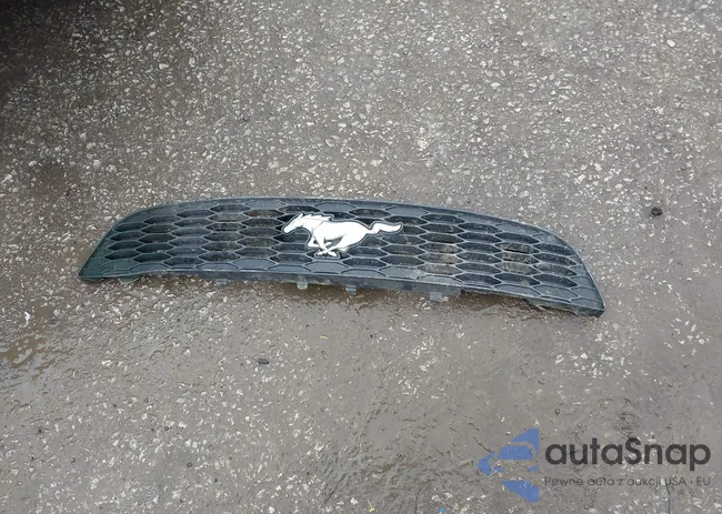 1ZVBP8AM6D5242155: 43297385