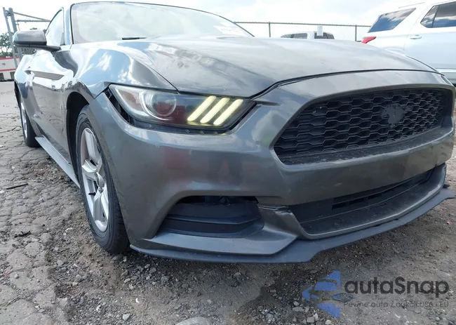 1FA6P8AM8F5395603: 43297736