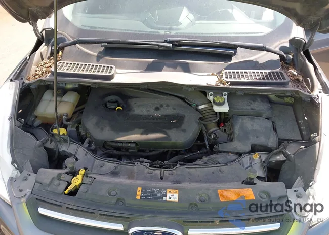 1FMCU0GX8EUD80480: 43298802