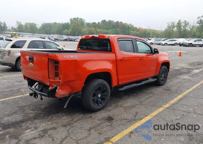 1GCGTCEN1K1233944: 43298929