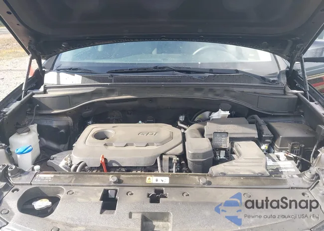 5NMZU3LBXHH034209: 43299233