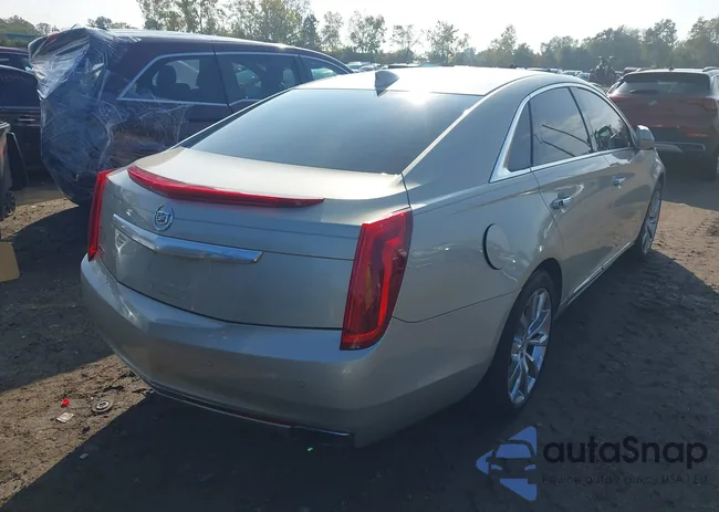 2G61M5S31F9176554: 43299298