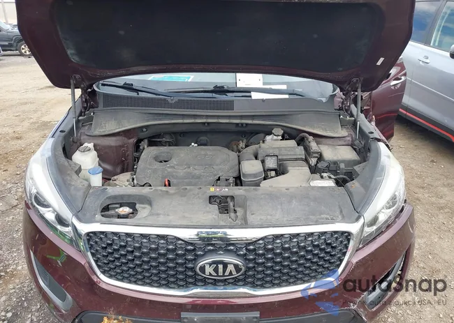 5XYPG4A39HG202786: 43298446