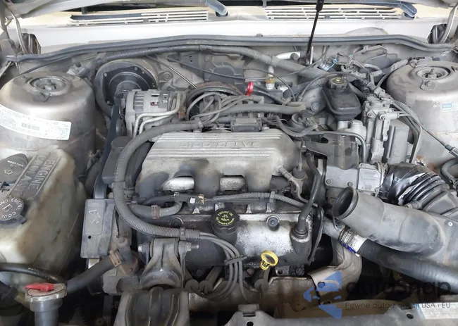 1G4AG55M3T6424701: 43299800