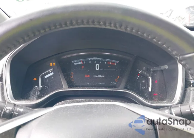 5J6RW2H92ML019233: 43299828