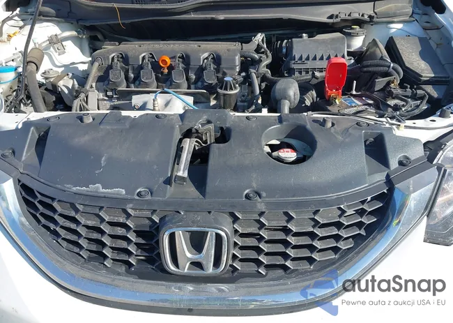 19XFB2F51FE082002: 43299845