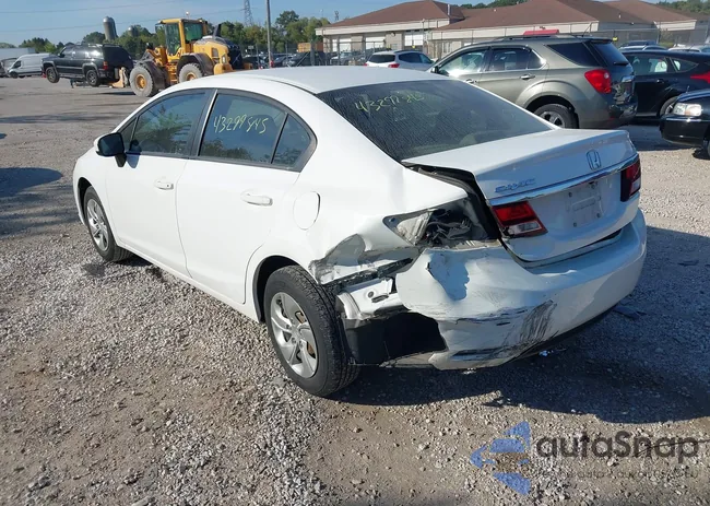 19XFB2F51FE082002: 43299845