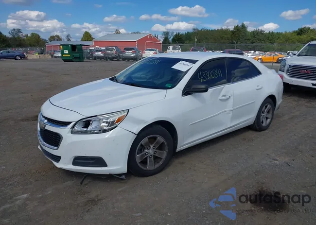 1G11B5SL1EF215113: 43300341