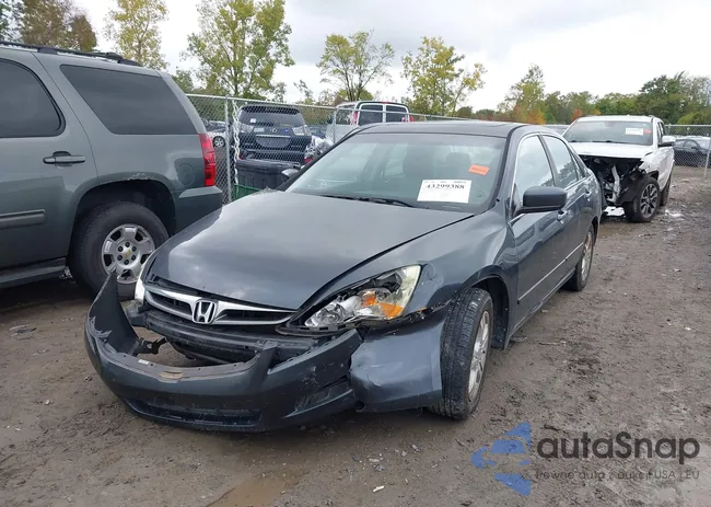 1HGCM56856A077804: 43299388