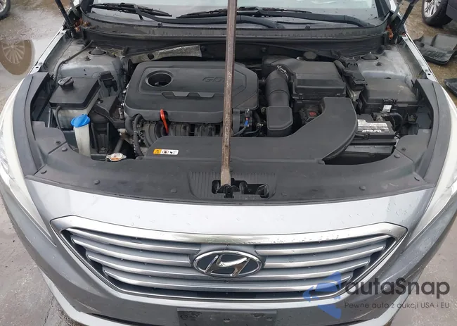 5NPE24AF2HH504462: 43300802