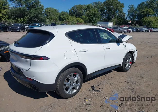 ZACPDFCW1R3A31455: 43300941