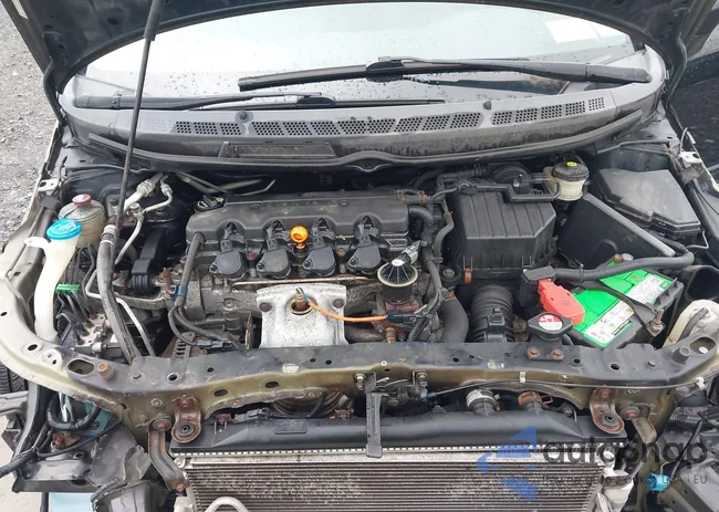 19XFA16599E017755: 43301007