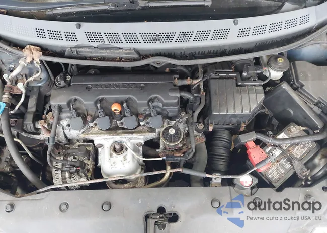 2HGFA16528H517227: 43301897