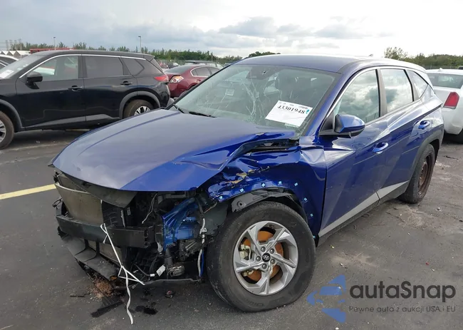 5NMJA3AEXPH255388: 43301948