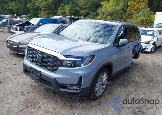 5FNYF8H55SB019163: 43301952