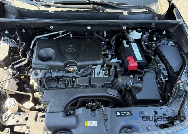 2T3P1RFV8KC042967: 43302019