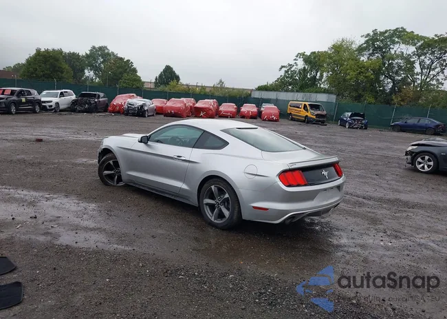 1FA6P8AM3G5271546: 43302133