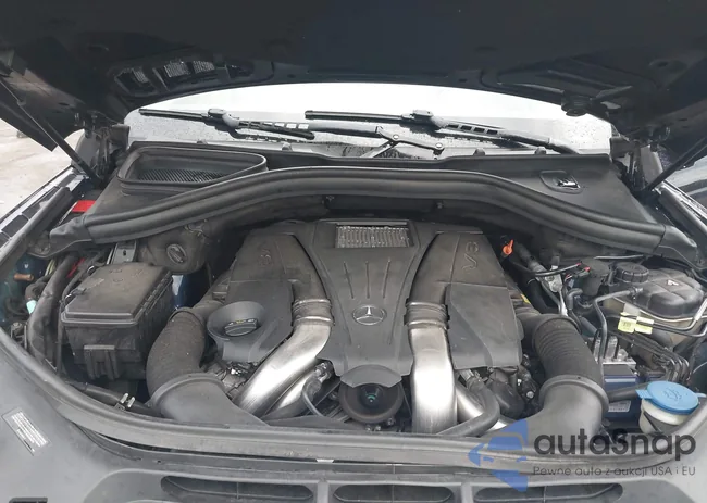 4JGDF7CE6EA409794: 43302982