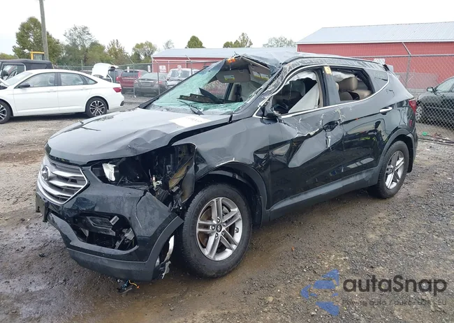 5NMZUDLB7HH008981: 43303448