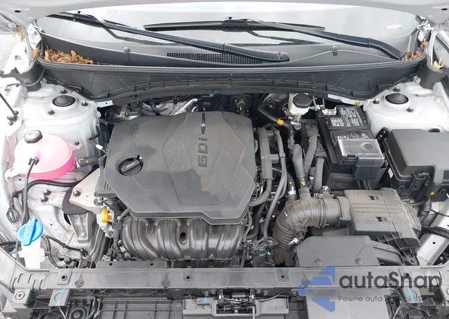 5NMJECDE8RH430286: 43303511