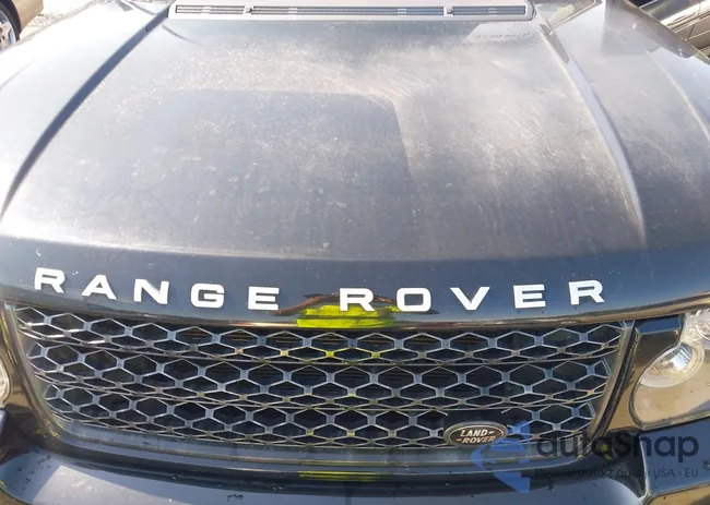 SALME1D42CA393349: 43304870