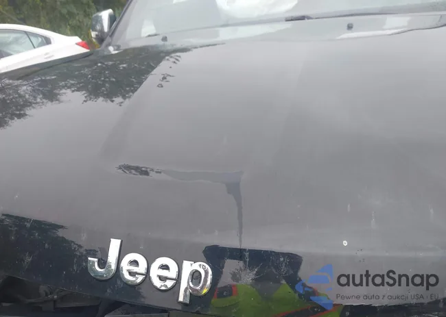 1C4RJFBG0LC336980: 43305057