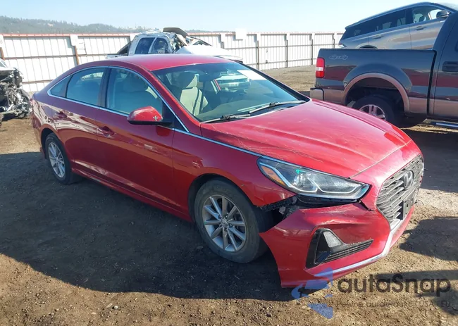 5NPE24AFXKH800577: 43305117