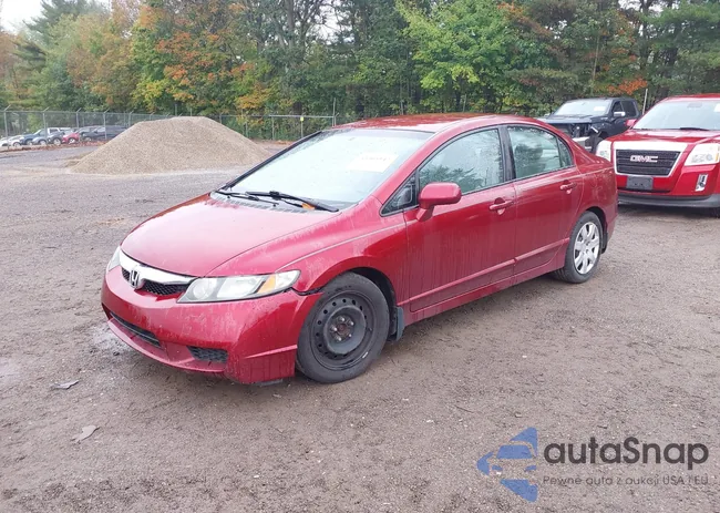 2HGFA1F53BH540913: 43305147