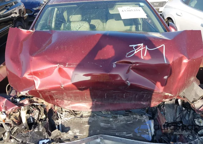 2HGFB2F52DH511019: 43305359