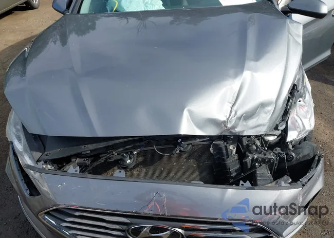 5NPE24AF1KH788125: 43307819