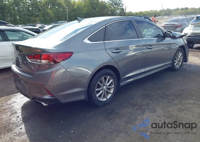 5NPE24AF1KH788125: 43307819