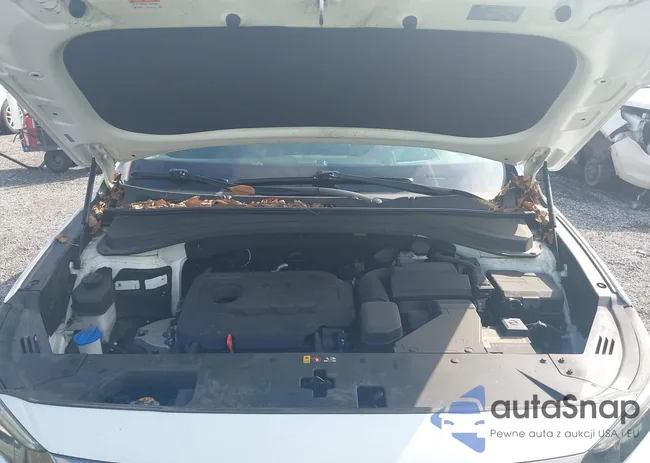 5NMS5CAD8LH264584: 43307860