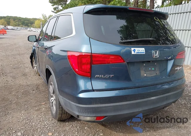 5FNYF6H50JB027240: 43307919