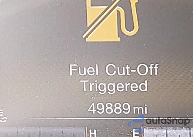 ZACNJDBB5MPM80963: 43308022