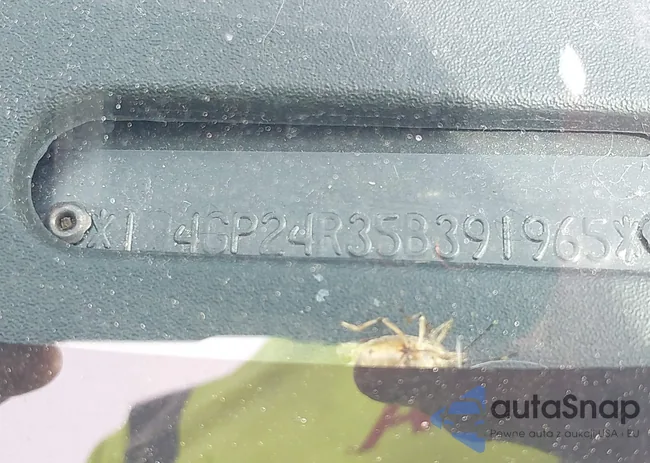 1D4GP24R35B391965: 43308146