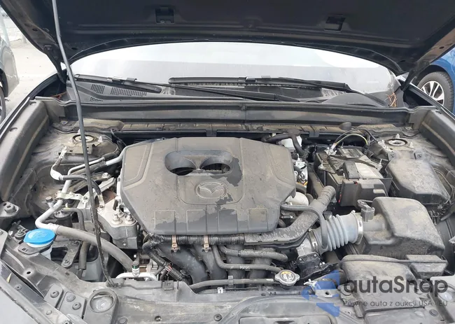 3MVDMBBM1RM624819: 43308252