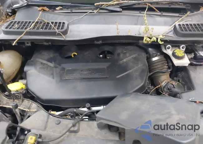 1FMCU9J90HUB75898: 43308313