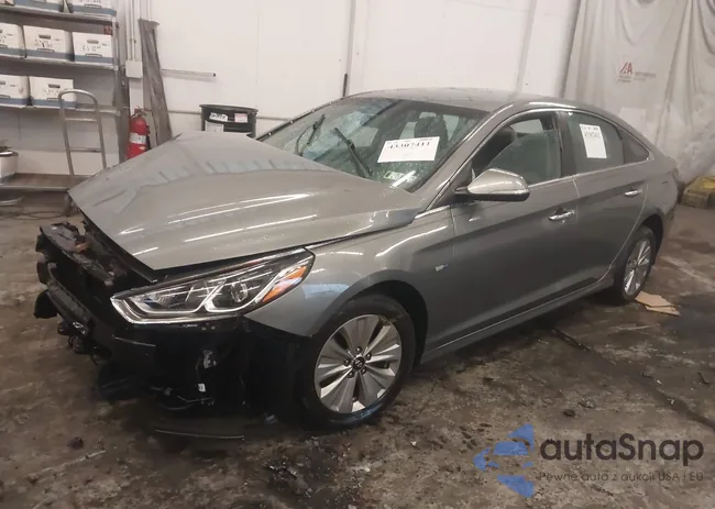 KMHE24L35JA087303: 43307411