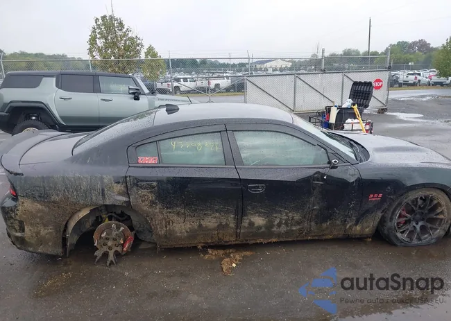 2C3CDXGJ5JH319050: 43308895