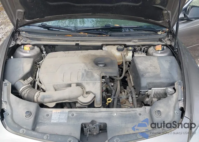 1G1ZB5E06CF248738: 43309107