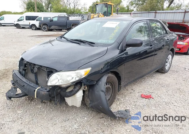 2T1BU40E59C163729: 43308688