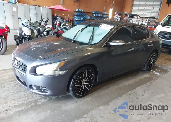 1N4AA5AP1BC805426: 43309837