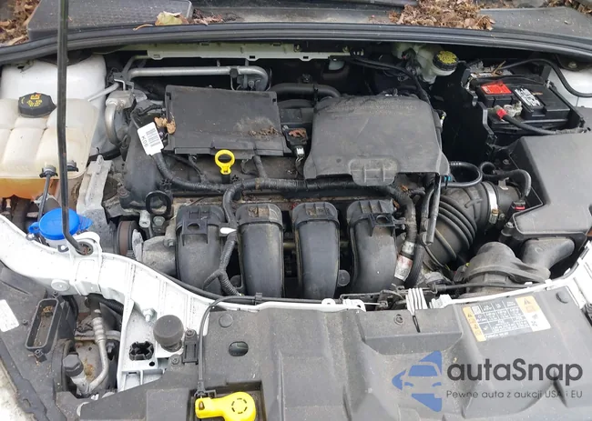 1FADP3K2XGL367483: 43311213